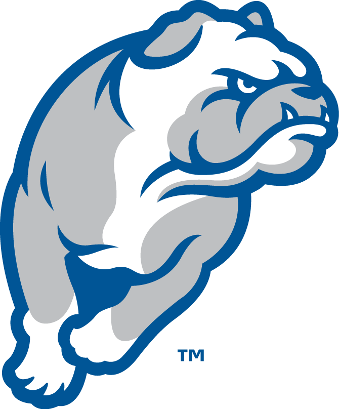 Drake Bulldogs 2015-Pres Alternate Logo v4 iron on transfers for clothing